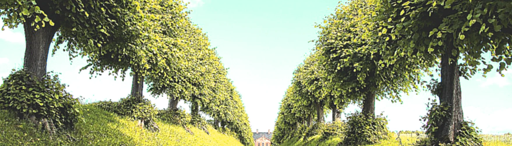 Header Bild Header Bild